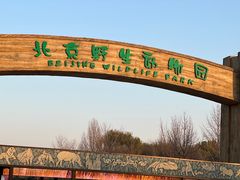 -北京野生动物园