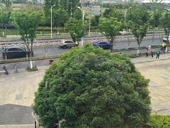 -红星国际广场
