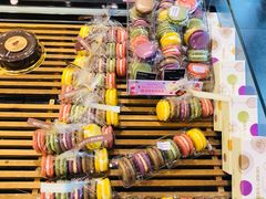 -多乐之日(富力城店)