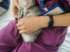 -中农国际动物医院24小时·猫科·骨科·急重症中心