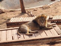 -昆明动物园