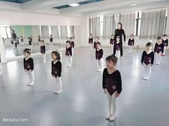 -西安小天鹅艺术团(金花路校区)