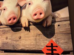 -老丰家·萍乡小炒肉(御锦园店)