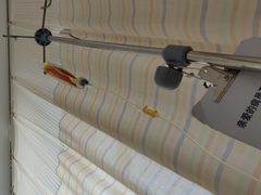 -上海市第六人民医院(临港院区)