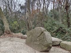 -上海佘山国家森林公园天马山园