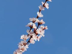 -海棠花溪(元大都城垣遗址公园)