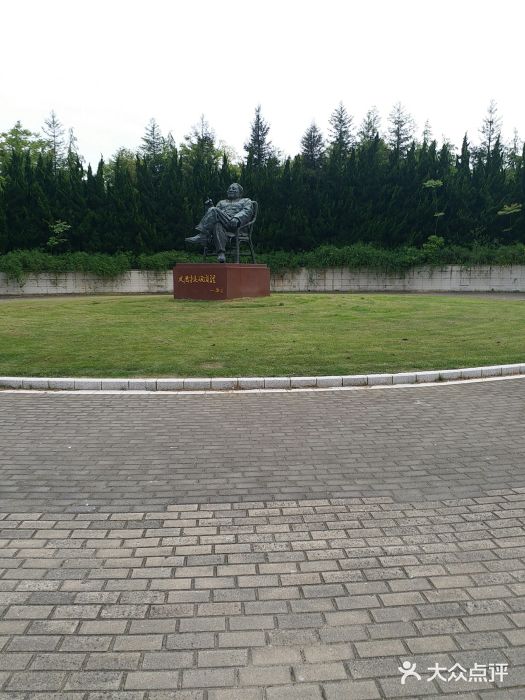 上海海湾国家森林公园图片