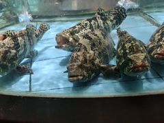 -观澜湖酒店·邀月庭中餐厅