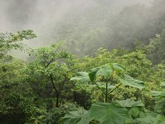 -敬亭山风景名胜区