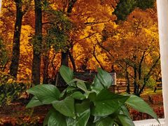 -乡村馕坑肉·烧烤·新疆菜·本地人更爱吃(阿勒泰首店)
