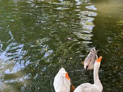-台州府城(东湖)