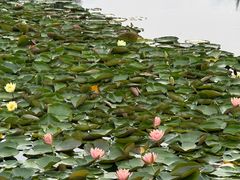 -白鹭湾湿地公园