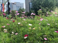 -杭州城北体育公园