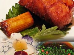 -西郊5号·Maggie 5
