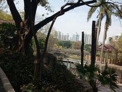 -晓港公园