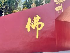 -龙口南山旅游景区