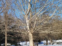 -北京植物园南门售票处
