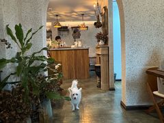 -绿房子方寸咖啡(星海名城店)