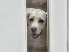-瑞派·关忠动物医院猫科外科·异宠·24小时转诊中心(祥云店)
