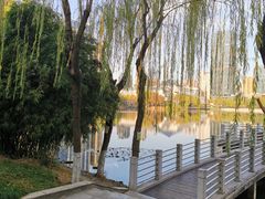 -后襄河公园