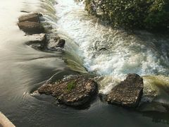 -贵阳市花溪国家城市湿地公园