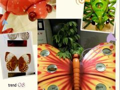 -上海昆虫博物馆