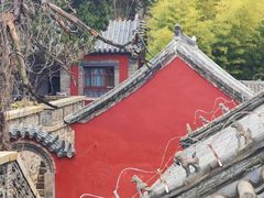 -泰山风景名胜区-普照寺