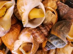 -星璞餐厅(深铁塘朗城君璞酒店)