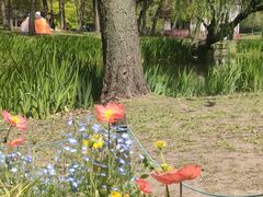 -上海共青森林公园