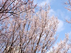 -苏州河梦清园环保主题公园