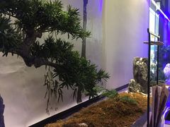 -绿茶餐厅(成都大悦城店)