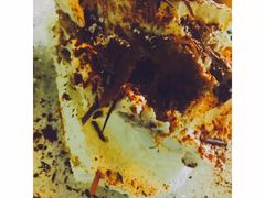 -PIZZA BIANCA(民园店)
