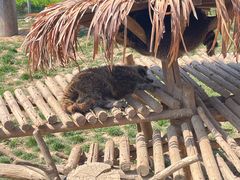 -石家庄市动物园