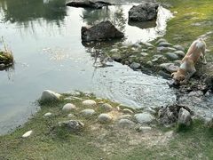 -夏河溪乡野公园