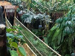 -正佳雨林生态植物园