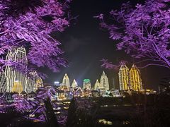 -中国科学院西双版纳热带植物园