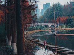 -重庆彩云湖湿地公园