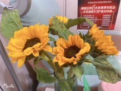 -QueenNail日式美甲美睫