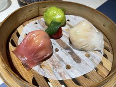 -点都德·毕德寮