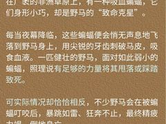 -安肯心理咨询(长宁旗舰店)
