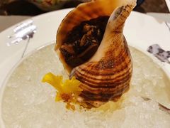 -九井澤精致料理(金茂店)