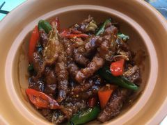 鸡爪-大树餐厅(红旗街万达店)