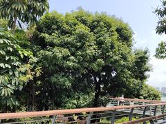 -立新湖公园