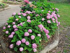 -共青国家森林公园-售票处