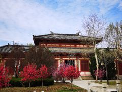 -孙子文化园
