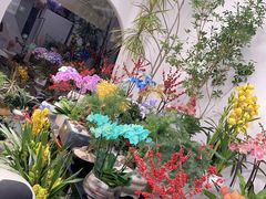 -淘花源花艺鲜花店 开业花篮 绿植(南部商务区店)
