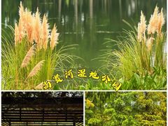 -尚贤河湿地