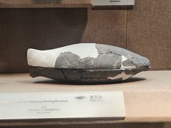 -烟台市博物馆