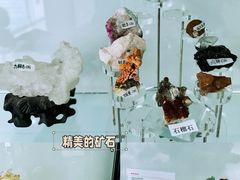 -中国第四纪冰川遗迹陈列馆