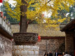 -金堂县云顶石城风景区